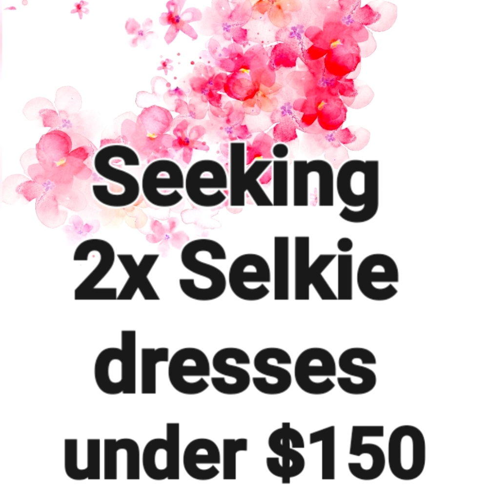 Selkie or similar brand in 2x